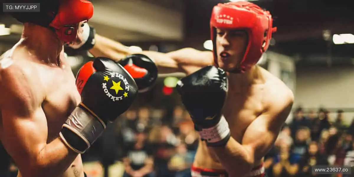 精彩纷呈,影视盛宴!🎥✨